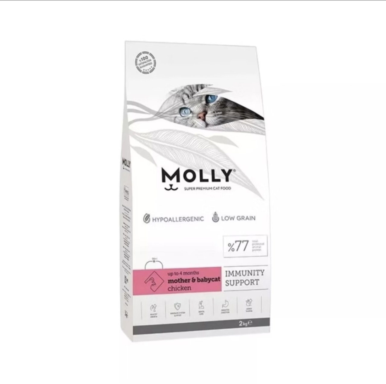 Molly Mother & Baby Cat Food | Premium Nutrition for Mother Cats & Kittens