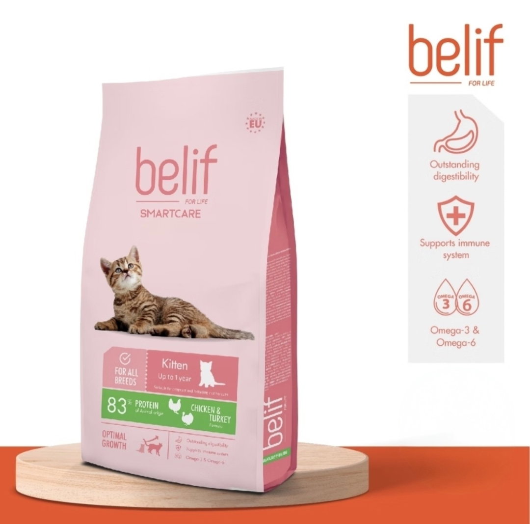 Belif Kitten Cat Food – Complete Nutrition for Healthy Growth & Development