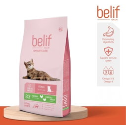 Belif Kitten Cat Food – Complete Nutrition for Healthy Growth & Development