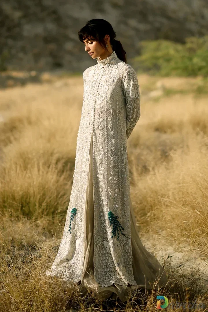 Champagne Tulle Peshwas Tissue Lehenga Set_0