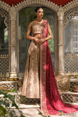 Gold Tissue Lehenga Choli with Crimson Dupatta