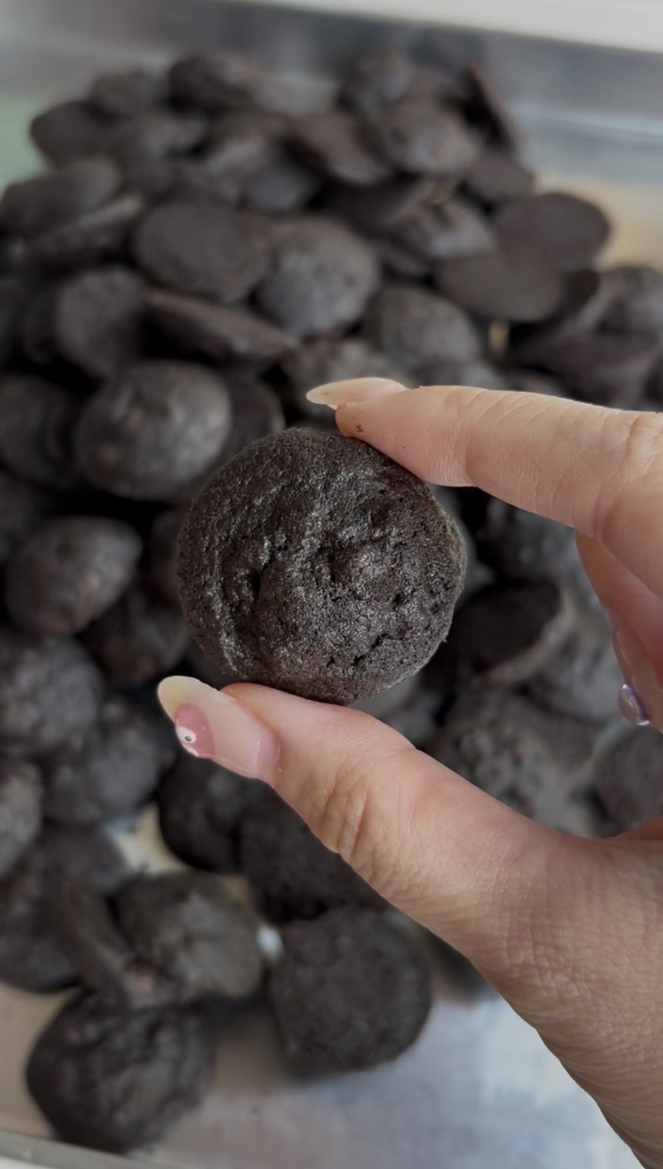 [PO] Hershey’s double chocolate chip cookies (150g/300g)_0