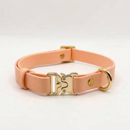 Classic Collar