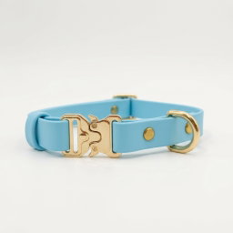 Classic Collar