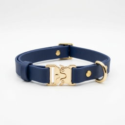Classic Collar
