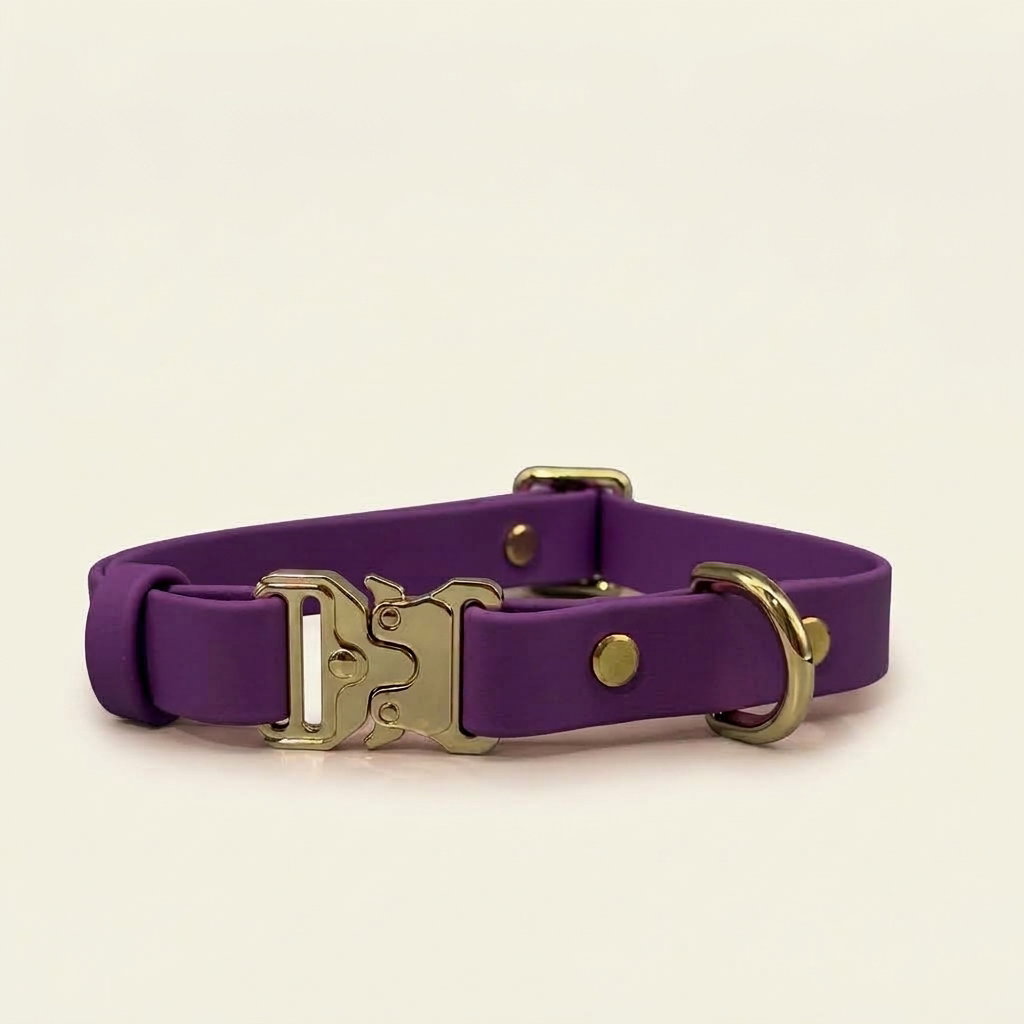 Classic Collar_3