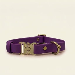 Classic Collar