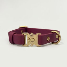 Classic Collar