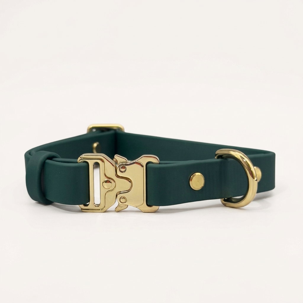Classic Collar_12