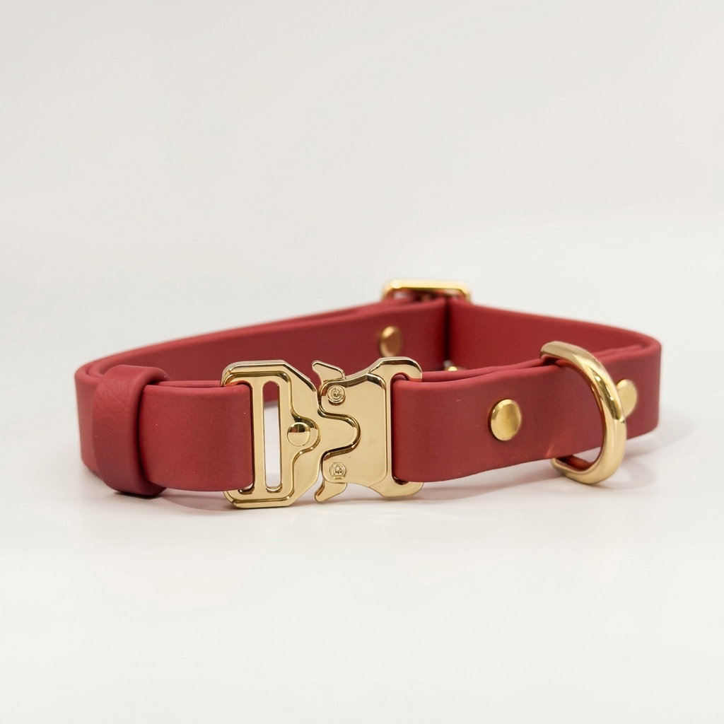 Classic Collar_11