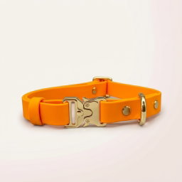 Classic Collar