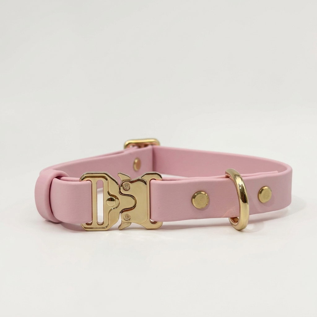 Classic Collar_8
