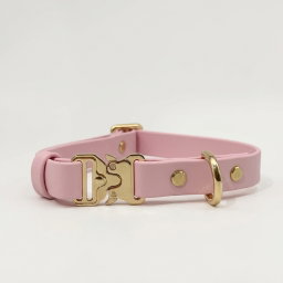 Classic Collar