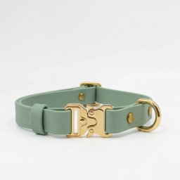 Classic Collar