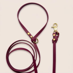 Biothane Leash