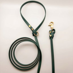 Biothane Leash