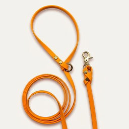 Biothane Leash