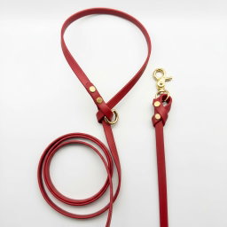 Biothane Leash