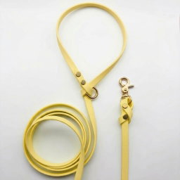 Biothane Leash