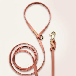 Biothane Leash