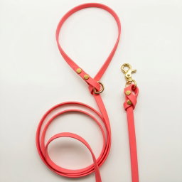 Biothane Leash