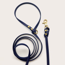 Biothane Leash