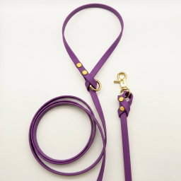Biothane Leash