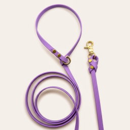 Biothane Leash