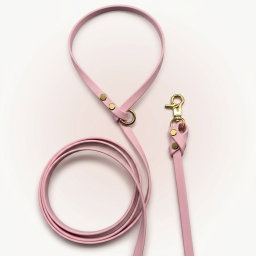 Biothane Leash