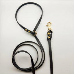 Biothane Leash