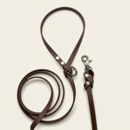 Biothane Leash