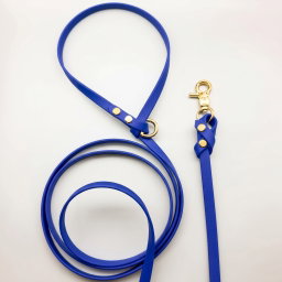 Biothane Leash