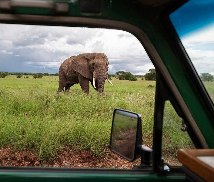 Kenya Big Five Safari