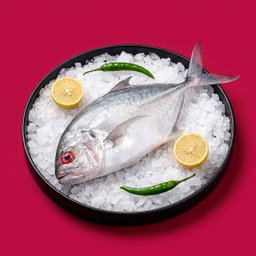 Kadal Paarai / Marine Trevally - Whole