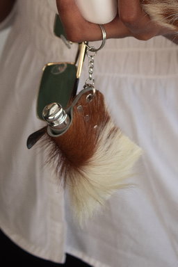 Key rings  