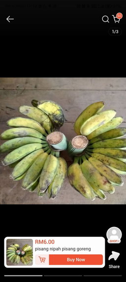 Saging Saba Maniba / 1kg