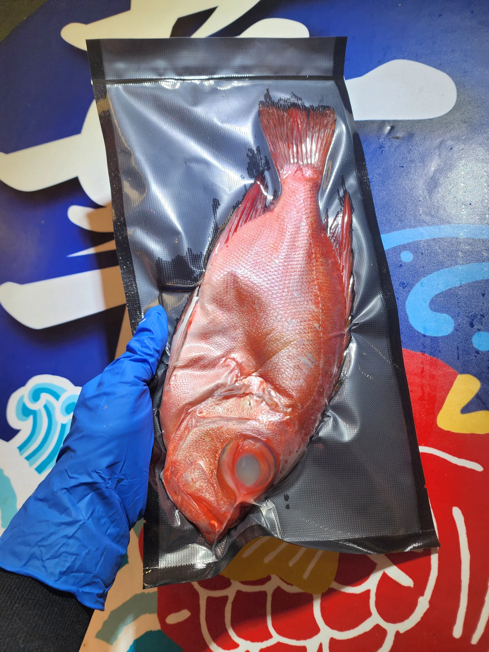 日本深水大眼鯛魚🧊（連皮版🌟）（約10兩）(已清洗及處理好)_0