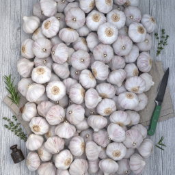 GARLIC PER KG