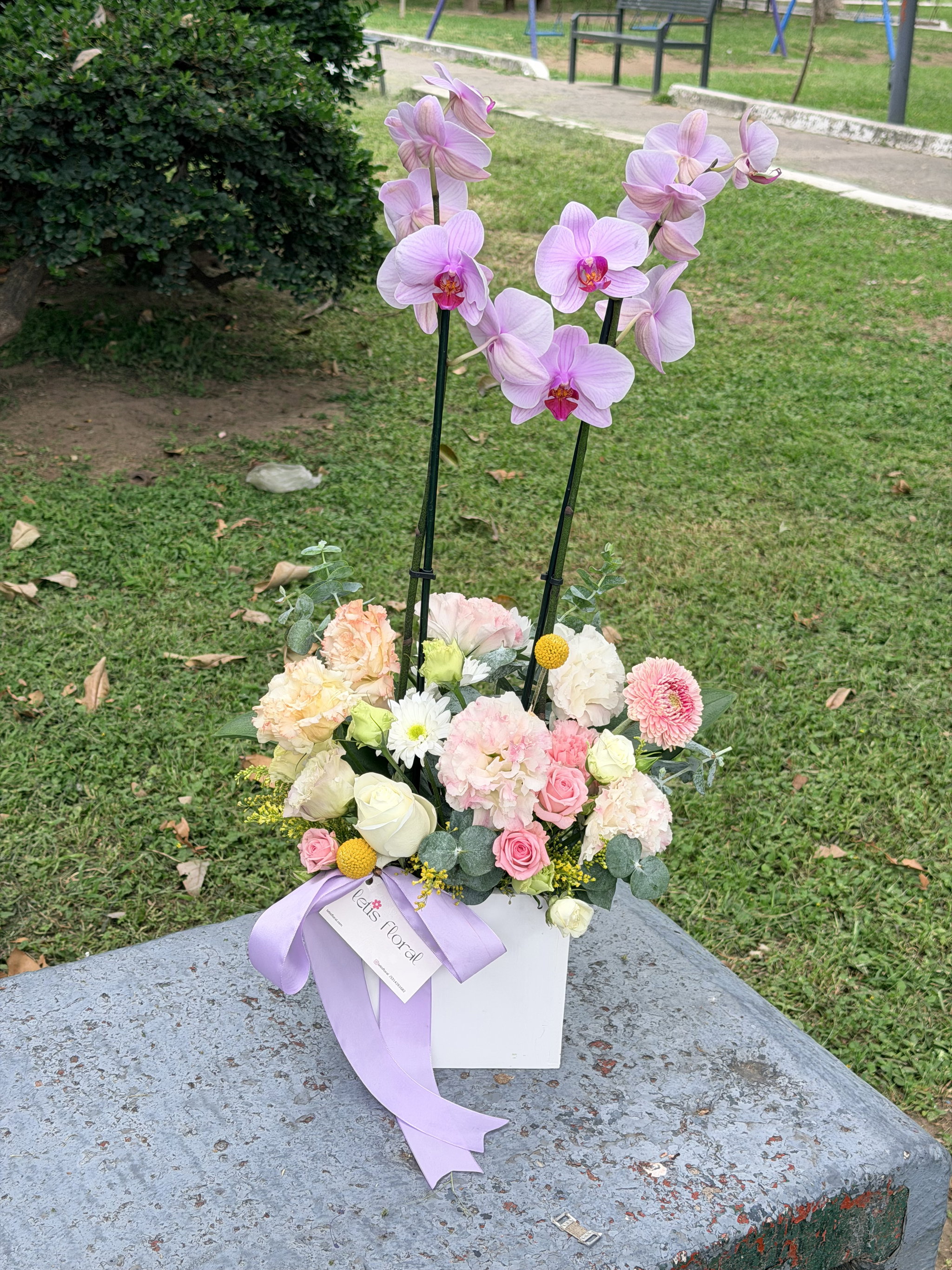 Jardin de Orquidea _1
