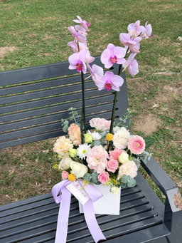 Jardin de Orquidea 