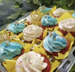 Cupcakes 