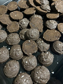 Double Chocolate Chip Sea Salt Cookie