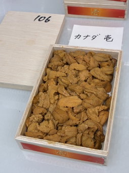 (TUES BATCH) 250g 'Ichi 壱' Bafun Uni 