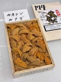 (LAST FRI) 250g 'Sapporo Shin 札幌進' Bafun Uni