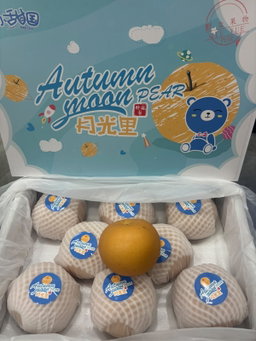 China Moonlight Autumn Pear 