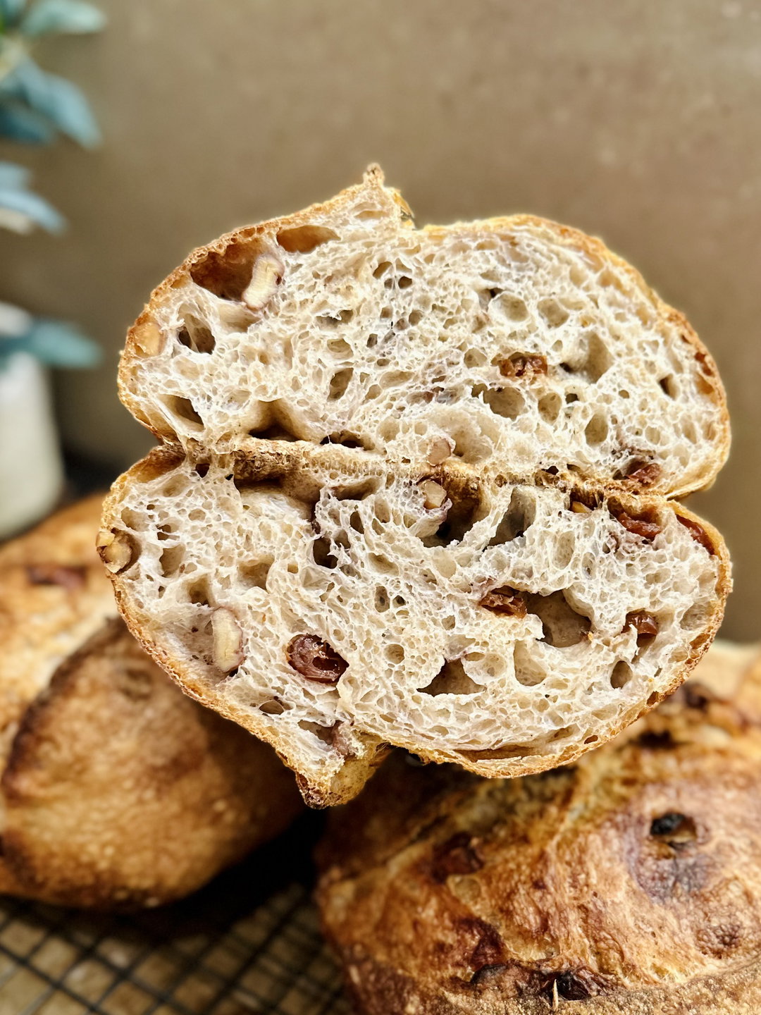 Cranberry & Walnut