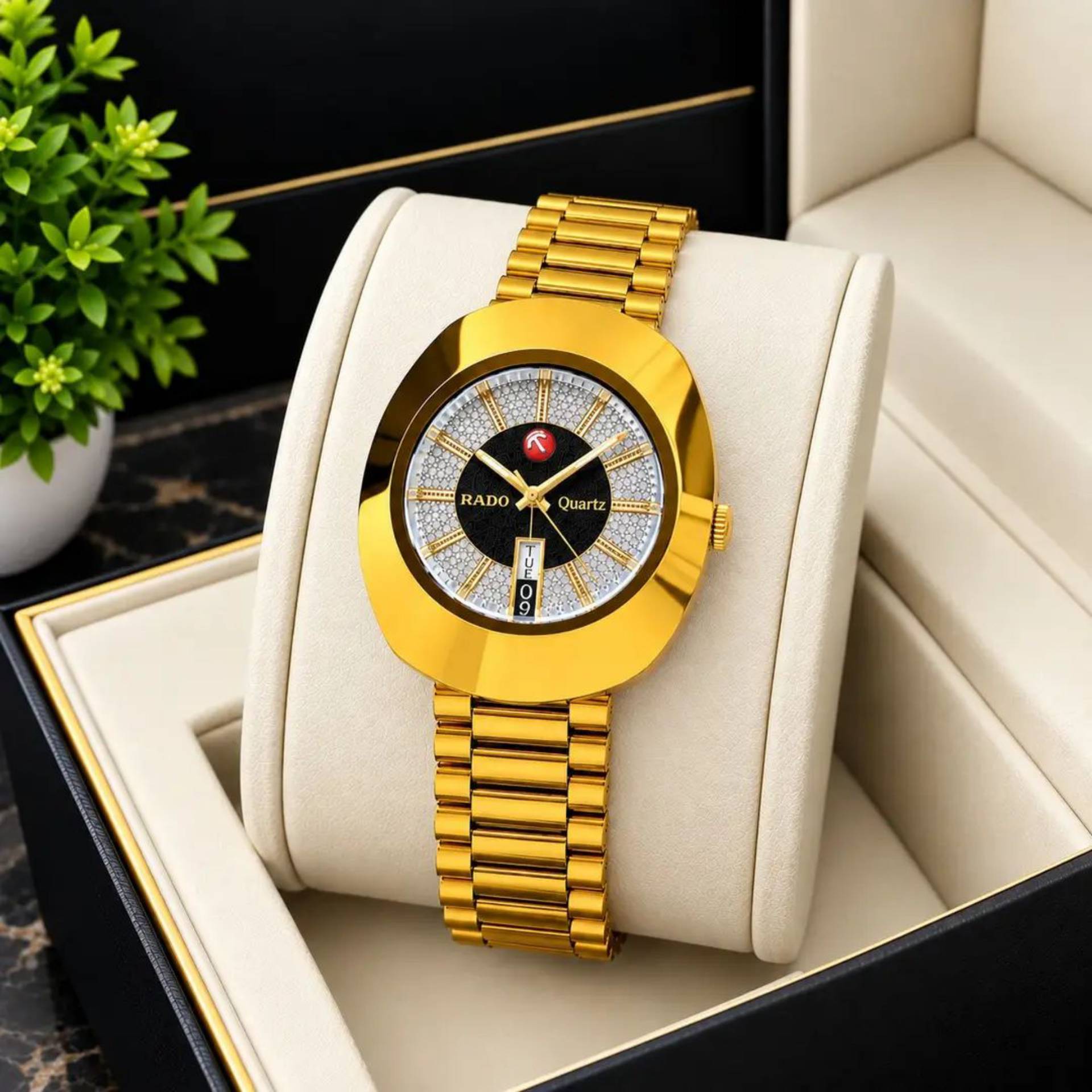 Luxury Men's Rado watch_0