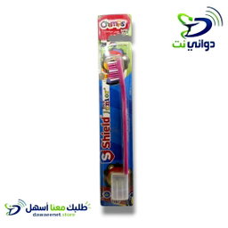 فرش اسنان