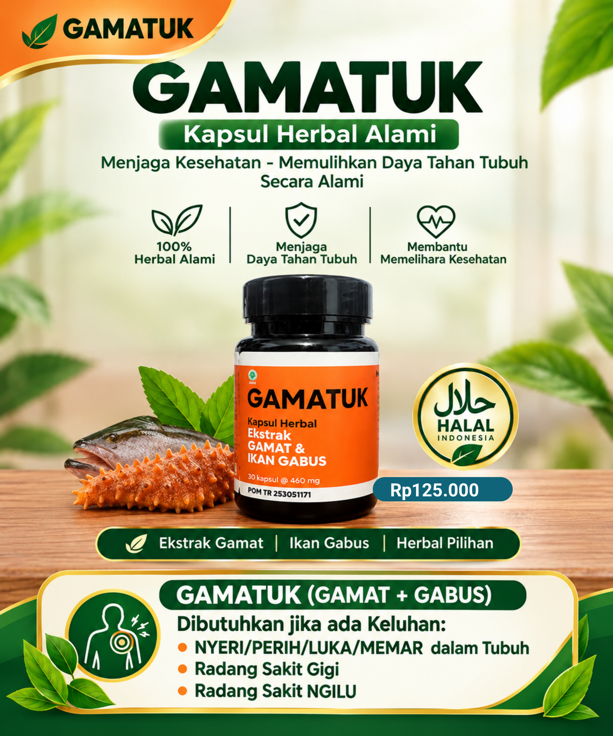 GAMATUK (Gamat + Albumin Ikan Gabus)_0