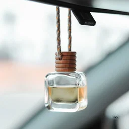 Car diffuser 